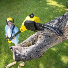 Best Utility Line Clearance  in Sioux City, IA