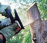 Best Utility Line Clearance  in Sioux City, IA