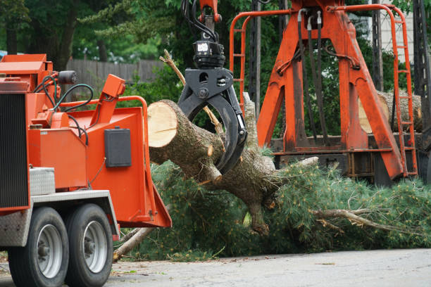 Best Lawn Irrigation Installation and Maintenance  in Sioux City, IA