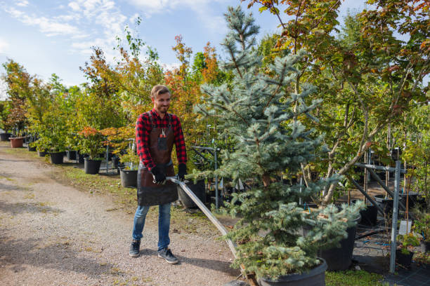 Best Lawn Maintenance Plans  in Sioux City, IA